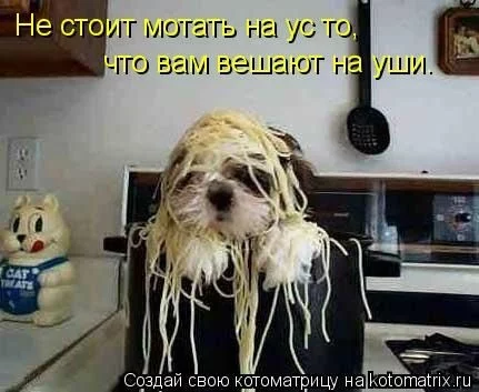 x_e55a1fe6.webp
