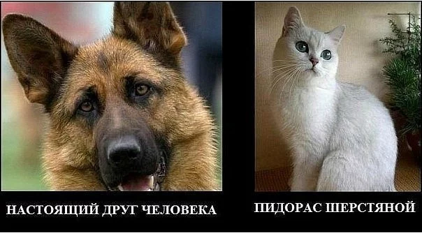 x_e6d6d1f7.webp