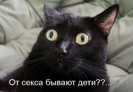 x_f882bc67.webp