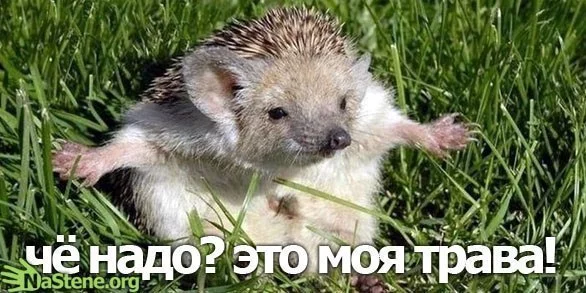 x_fe249a13.webp