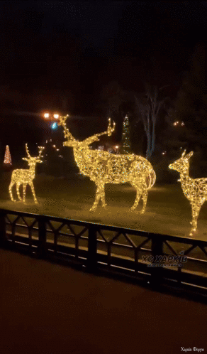 Харківянин__Я_хуй_зна_But_Kharkiv_this_is_the__best_city_i (2).gif