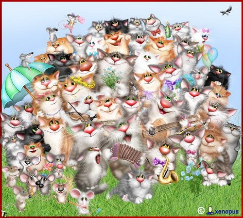 xenopus_cats_14.jpg
