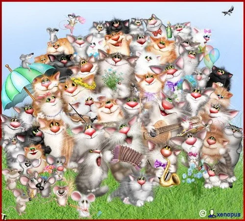 xenopus_cats_14.webp