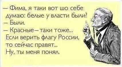 Xer3XB2gM1g.webp