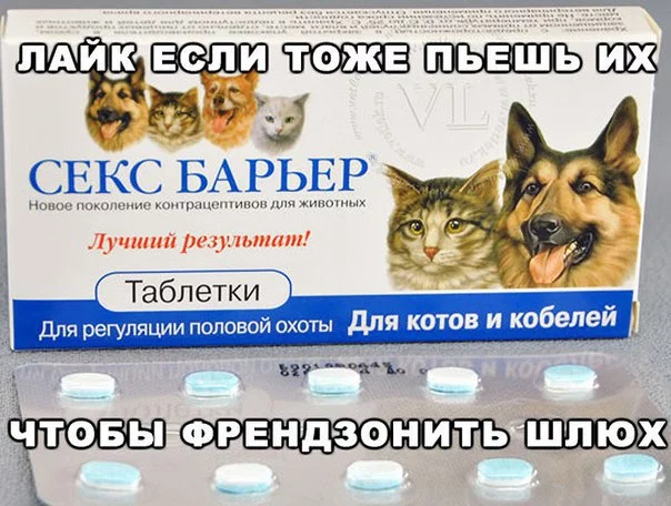 xFD_7AYCixQ.webp