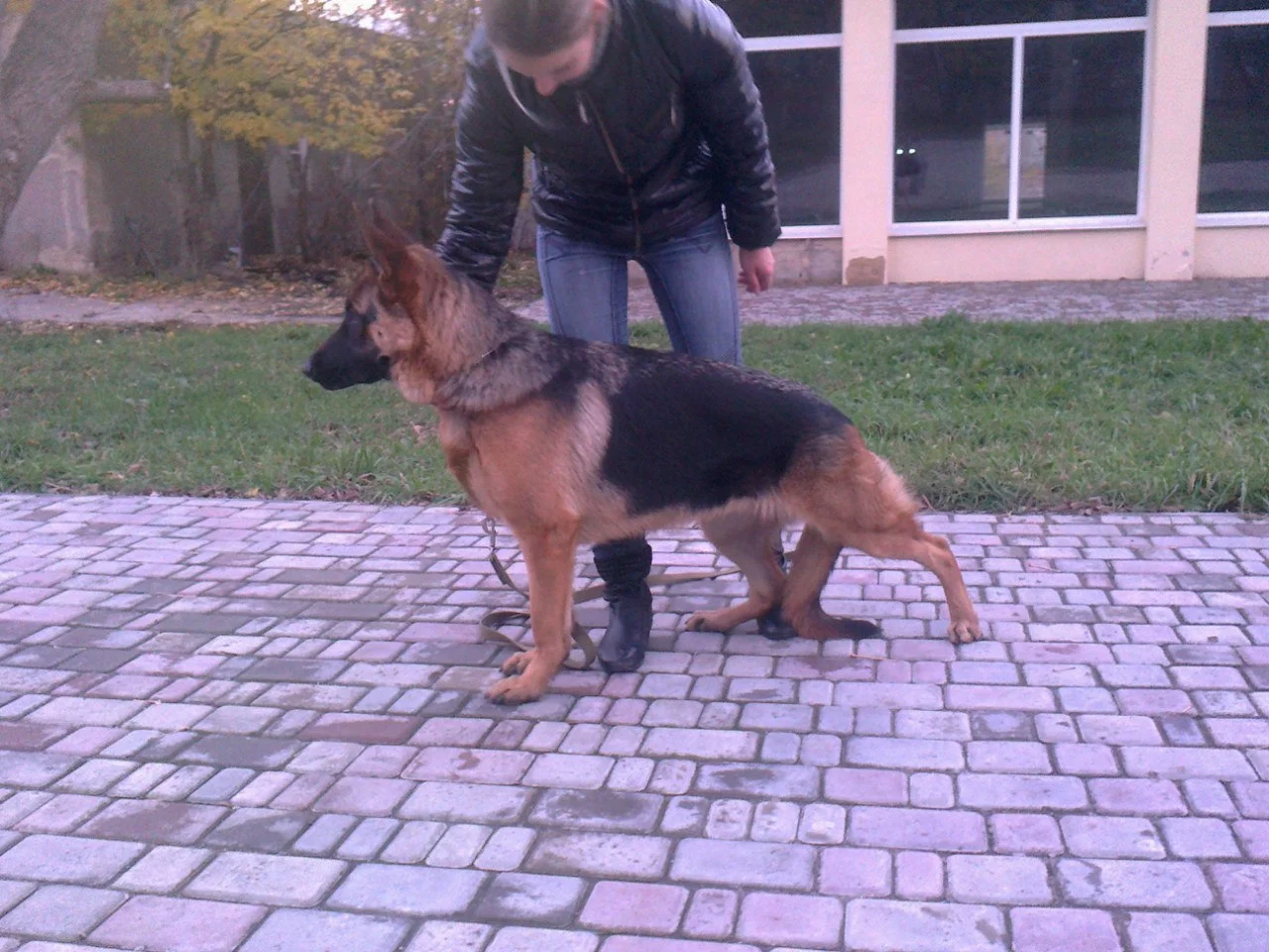 XgNLrL8CVSA.webp