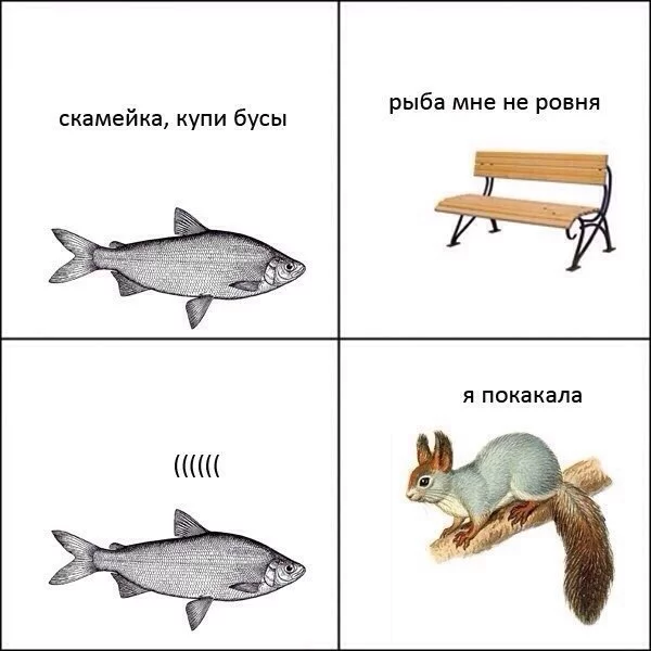 XIll1HfQSTg.webp