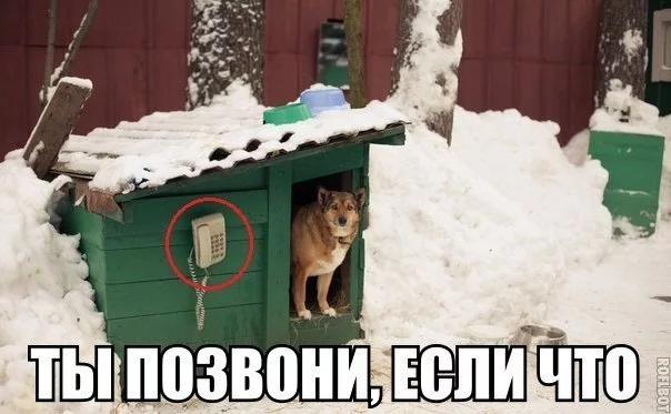 XJv3QweceQk.webp