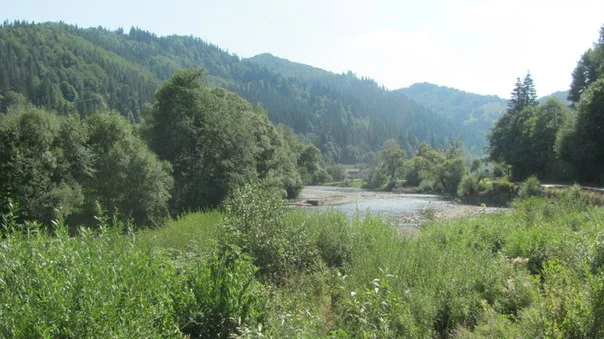 XkoSLIKGlTI.webp