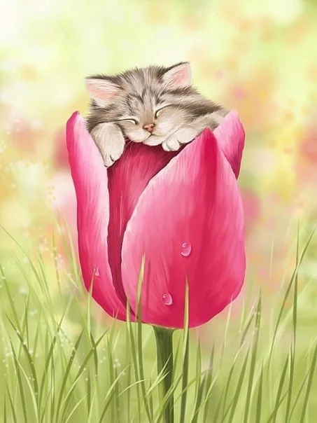 xkZKkUDI1mI.webp