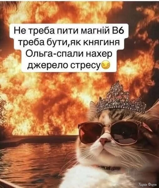 XNnXp9RD4_mTpJU&_nc_zt=23&_nc_ht=scontent.fiev28-1.jpg