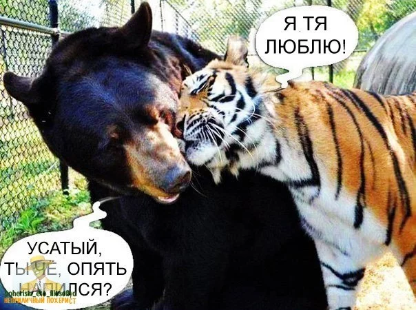 XPdGJYbg8ok.webp