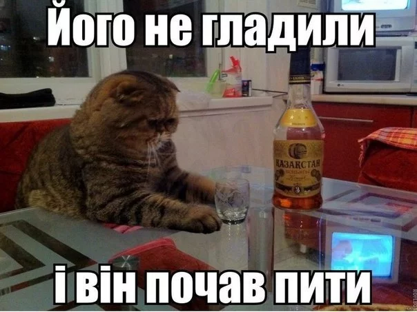 XrxiYv81z9o.webp