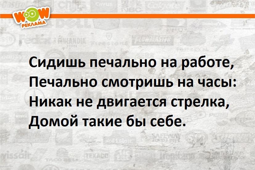 xrZ8sErwsWU.jpg