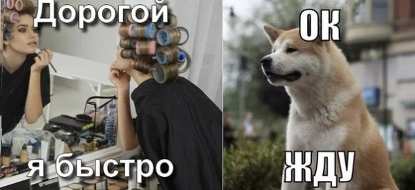 XU7cgkM7Z64.webp