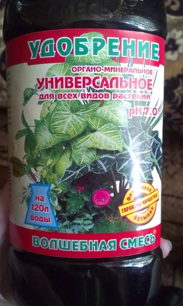 XUC8QPyQriI.webp