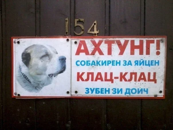 xvNyBw6u4-8.webp