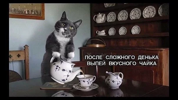 xXXcJpVG5aE.webp
