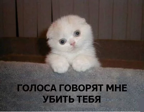 xy5jC8T6ykc.webp