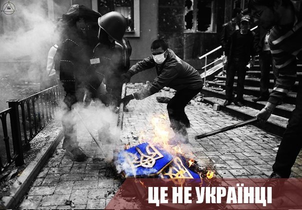 XzLpSjT4VXA.jpg