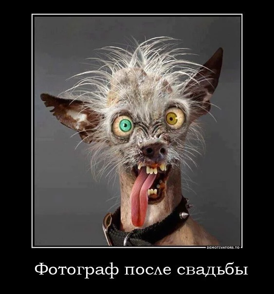 Y76XjKVkBYs.webp