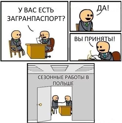 Y7alL1PrZkg.webp
