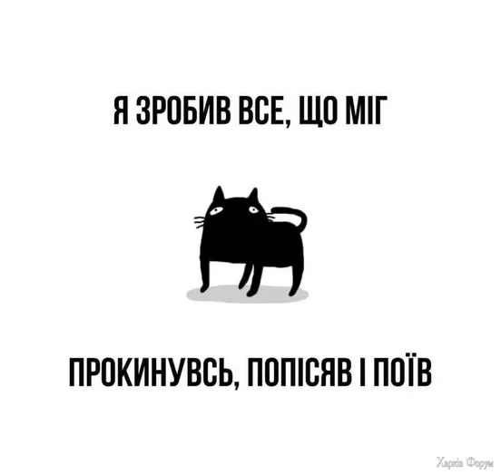 y7L7O-_5p0a_qjA&_nc_zt=23&_nc_ht=scontent.fiev25-1.webp