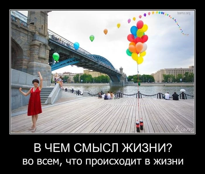y_1344658f.webp