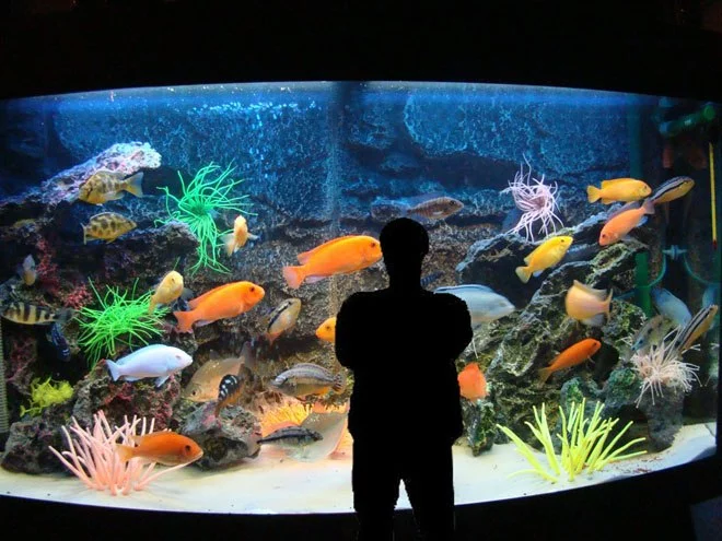 y_1b47b266.webp
