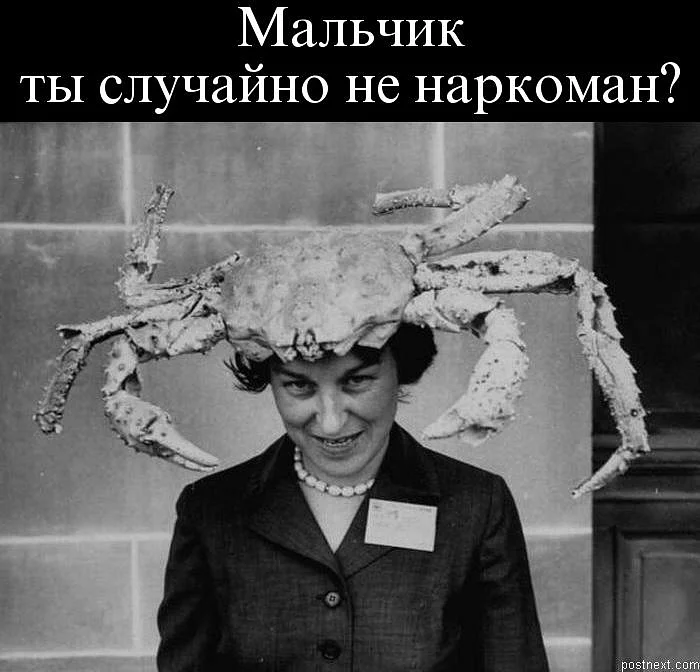 y_1e6548b7.webp