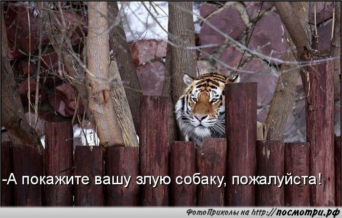 y_201fec1b.jpg