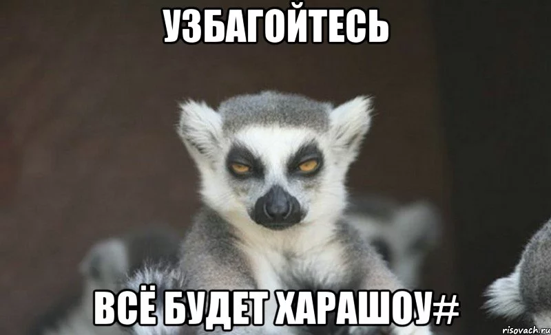 y_33232617_big_.webp