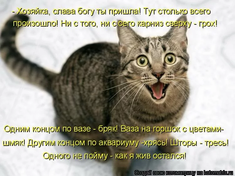 y_4c4bf02e.webp