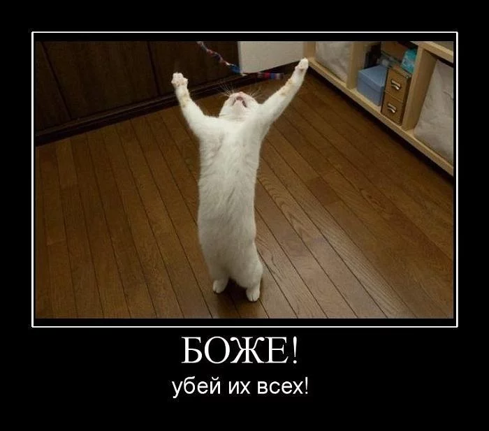 y_67f5eb03.webp