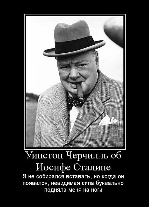 y_9ef4b062.webp