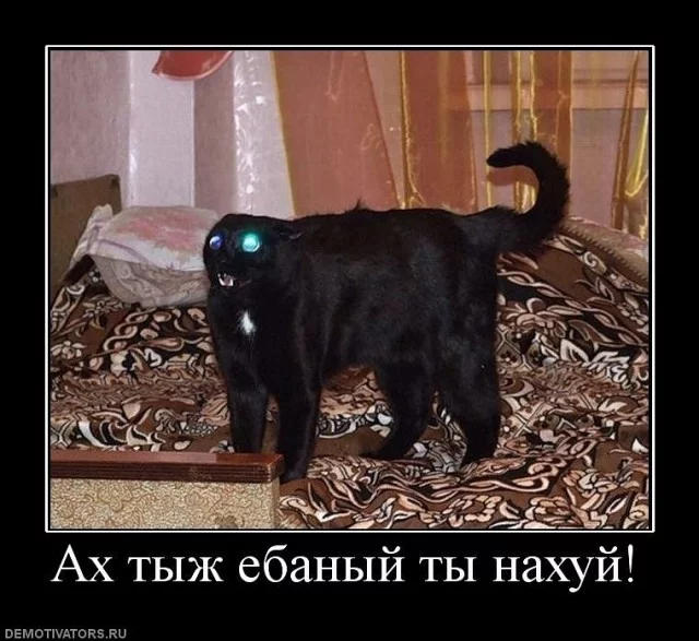 y_d308d044.webp