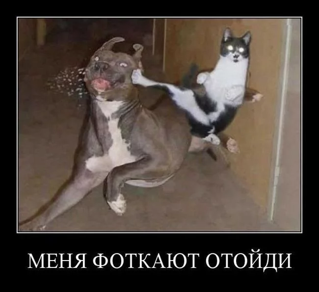 y_fe9e4c5c.webp