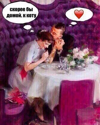 y_M5JWEHh10.webp