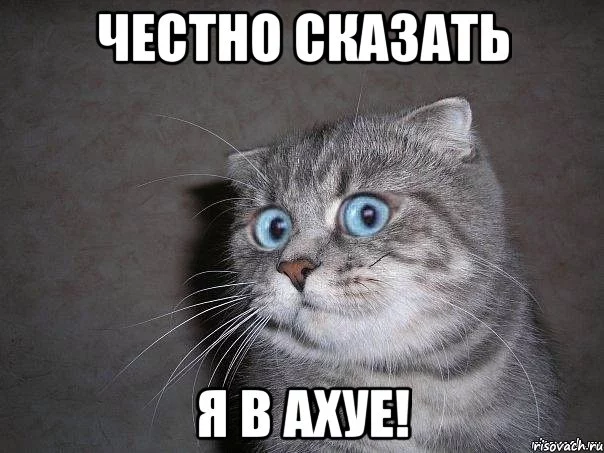 ya-v-ahue_46856537_orig_.webp