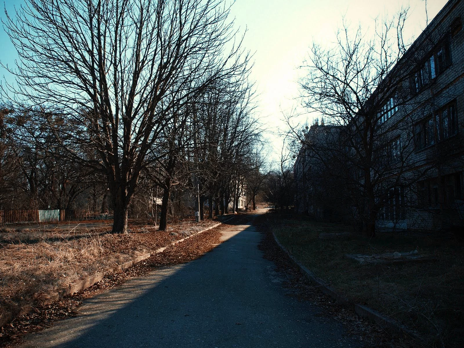 yakwamnk.webp