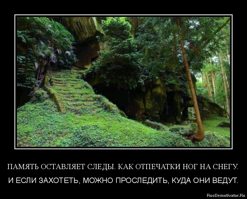 yat-ostavlyaet-sledy.-kak-otpechatki-nog-na-snegu..webp