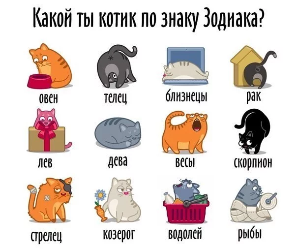YBj9xkAYnXI.webp