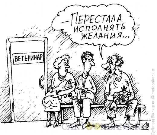ybka-zabolela.jpg