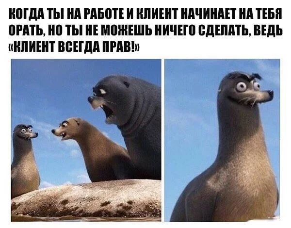 yF00y9dRdd8.webp