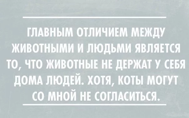 yFwGhUEjdIw.webp