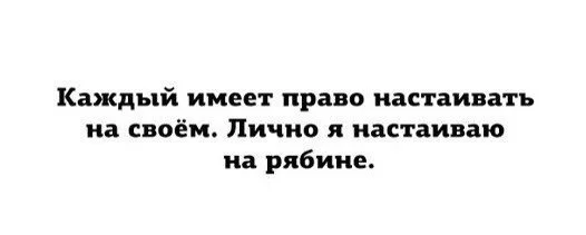 yIWXHR2u0fI.webp