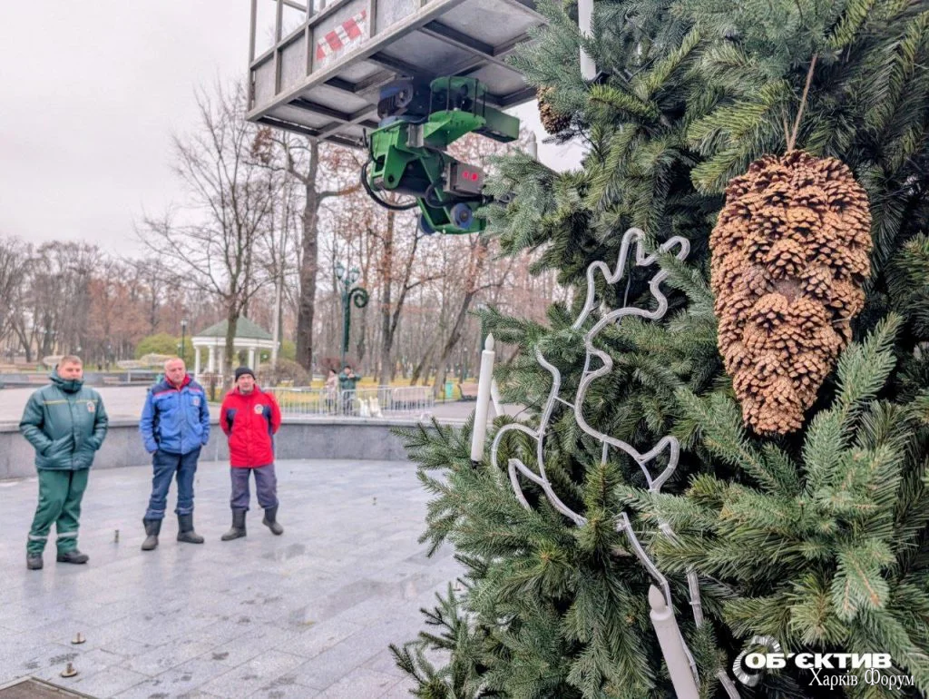 Вбирають ялинку в Харкові 5