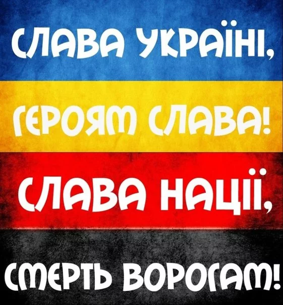 YJT9oYlJZJA.webp