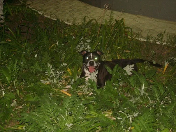 yklg1fcBJhM.webp