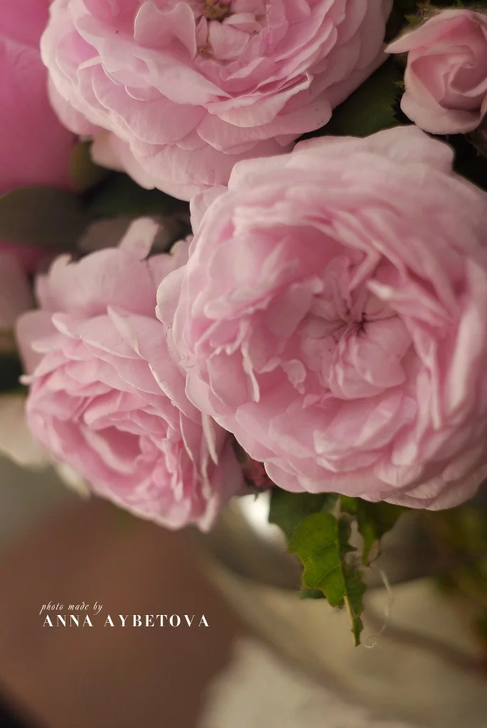 YNb-I92JVeA.webp